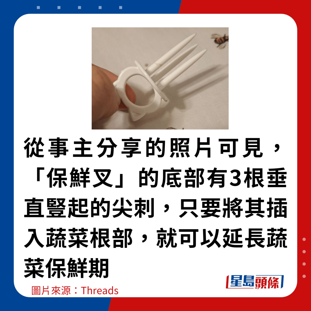 从事主分享的照片可见，保鲜叉的底部有3根垂直竖起的尖刺，只要将其插入蔬菜根部，就可以延长蔬菜保鲜期