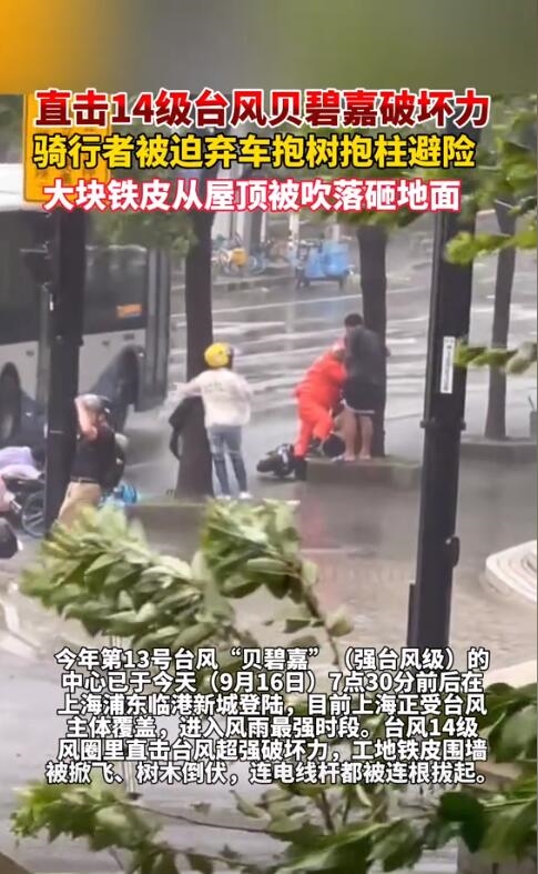 台风侵袭 骑车人被迫弃车抱树