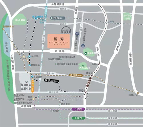 路易十六干红市场售价及年份差异