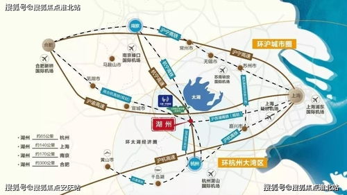 路易十六干红市场售价及年份差异