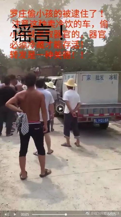 罗庄疑云：岳海征的命运转折，被捕了吗？