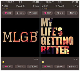 MLGB定义及详解：全面了解MLGB是什么