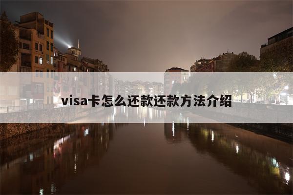 visa卡怎么还款还款方法介绍