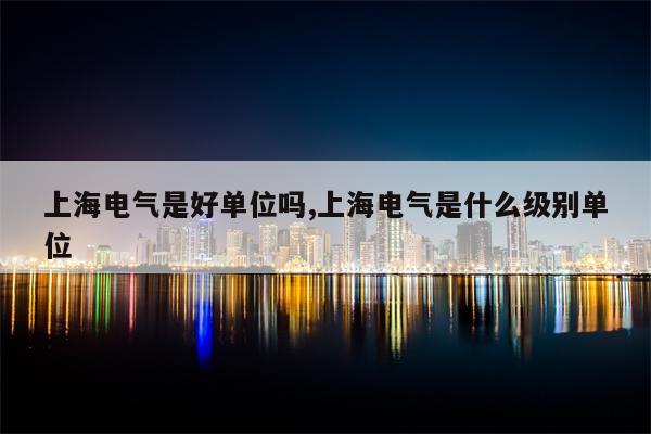上海电气是好单位吗,上海电气是什么级别单位