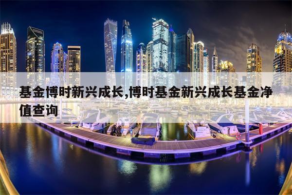 基金博时新兴成长,博时基金新兴成长基金净值查询